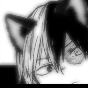 Meet your Posher, Desseray